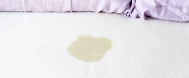 how-to-remove-pee-stains-from-furniture